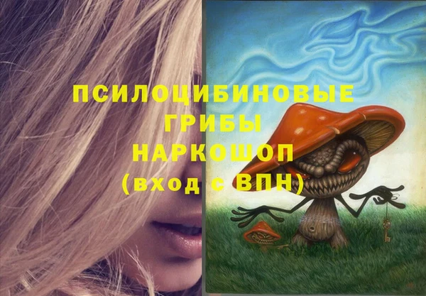 эйфоретик Богданович